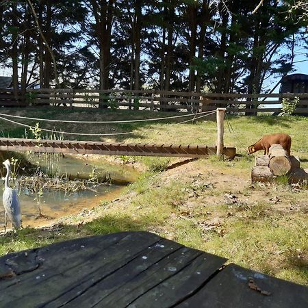 Tente Trappeur Ada, Au Jardin De La Vouivre Saint-Vincent-en-Bresse Экстерьер фото