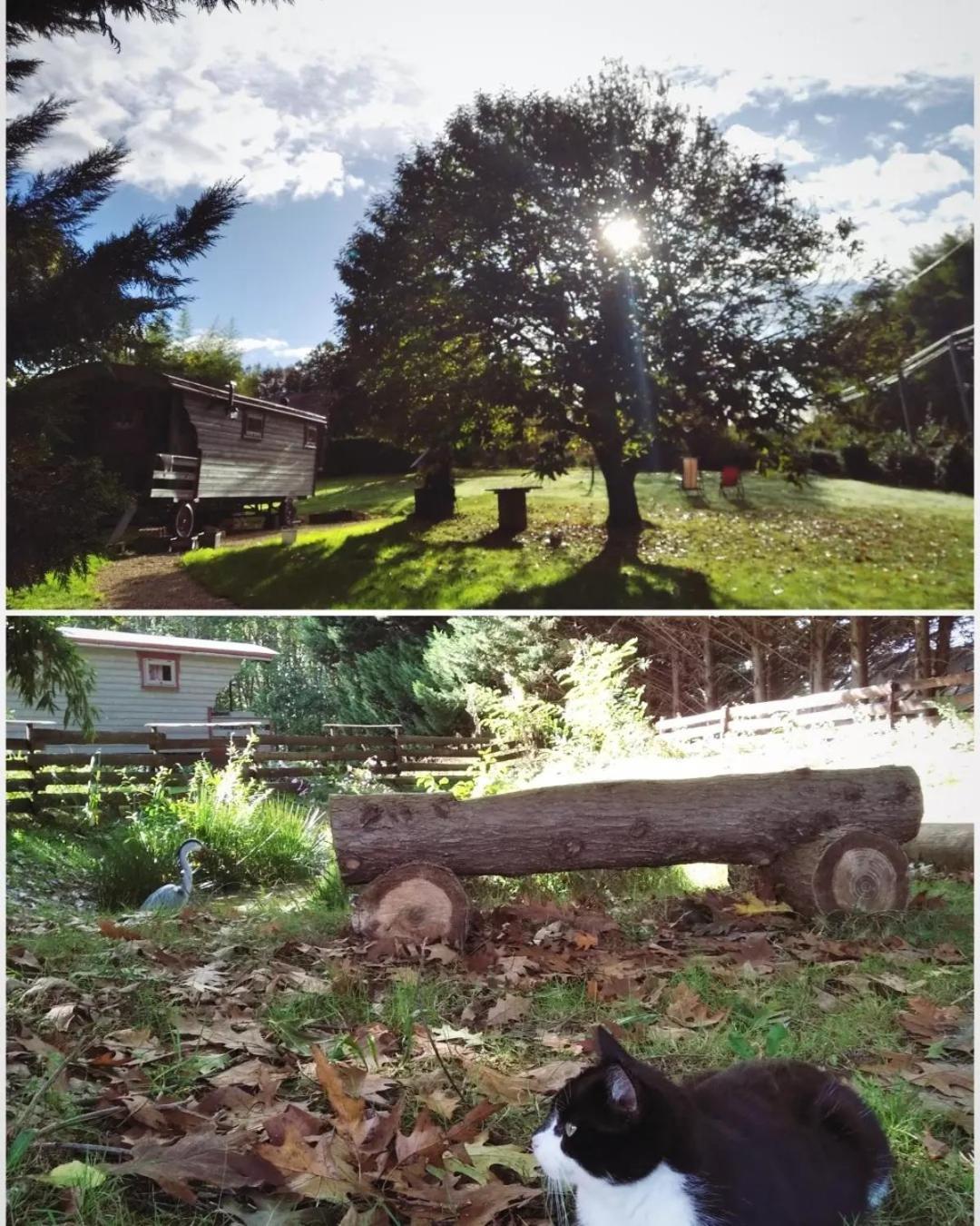 Tente Trappeur Ada, Au Jardin De La Vouivre Saint-Vincent-en-Bresse Экстерьер фото