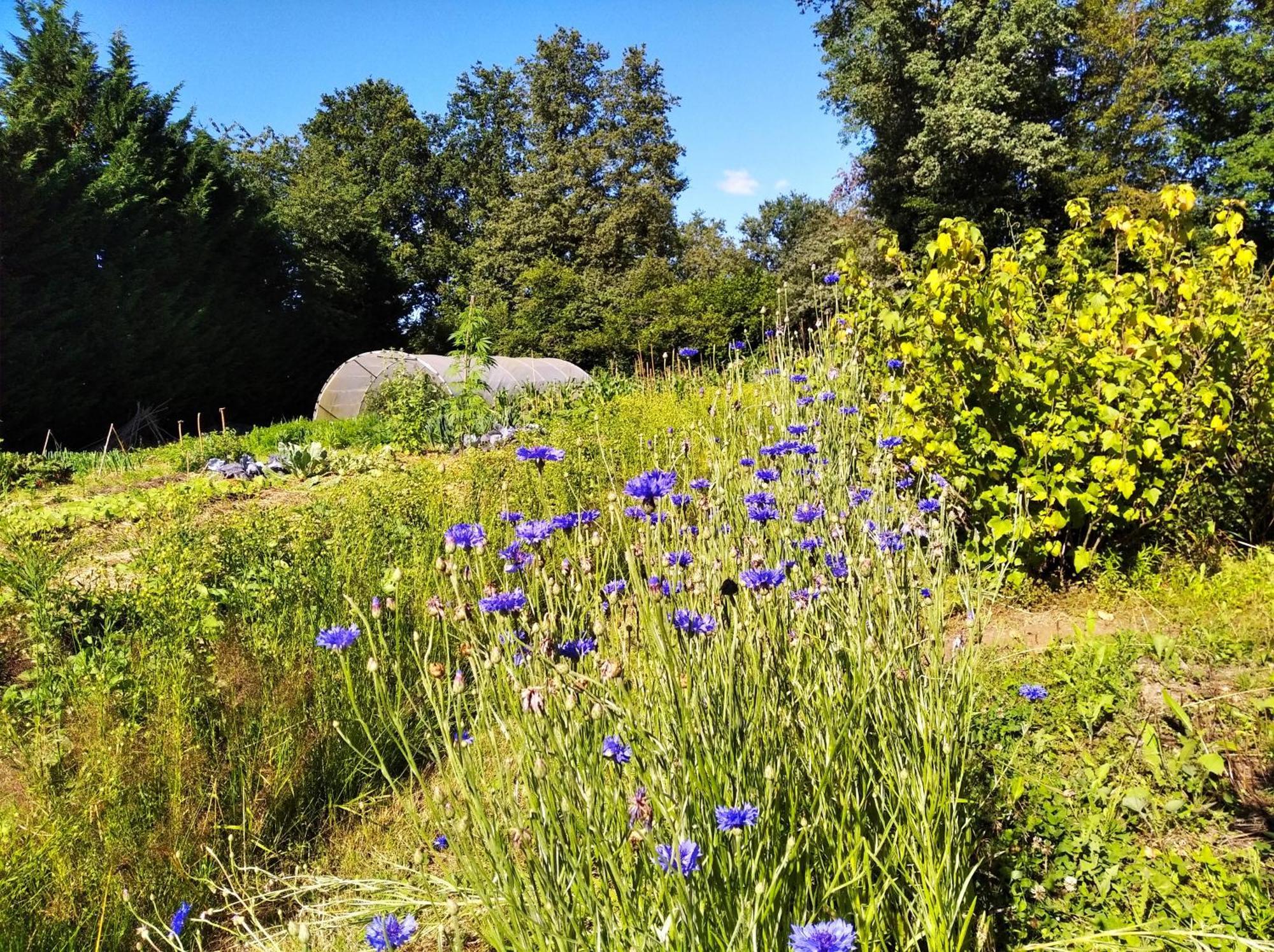 Tente Trappeur Ada, Au Jardin De La Vouivre Saint-Vincent-en-Bresse Экстерьер фото