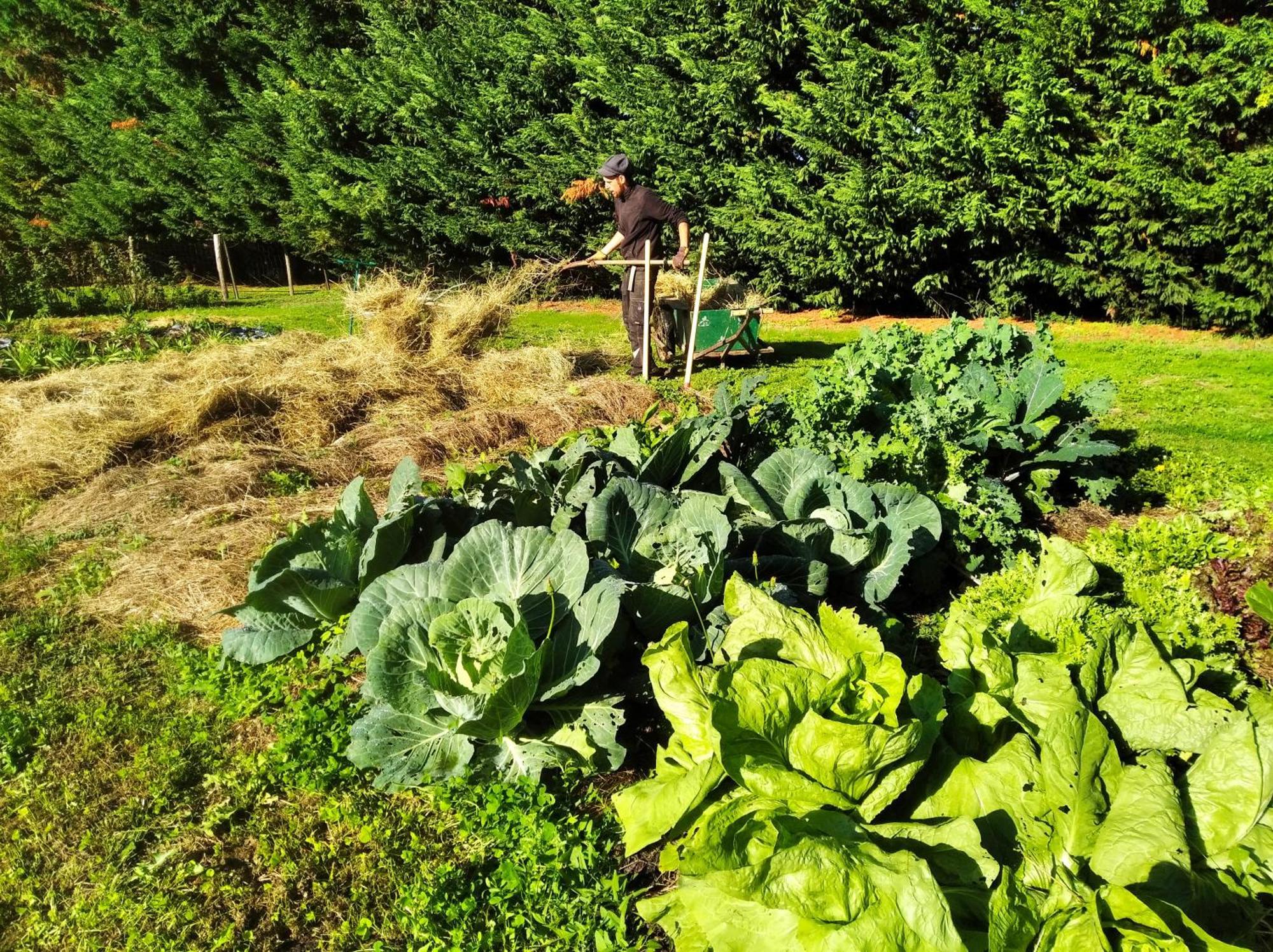 Tente Trappeur Ada, Au Jardin De La Vouivre Saint-Vincent-en-Bresse Экстерьер фото