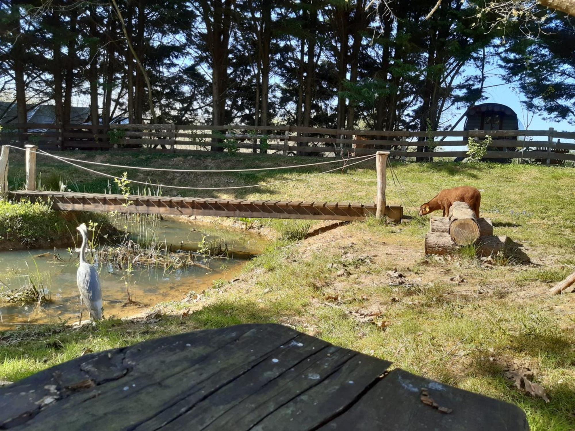 Tente Trappeur Ada, Au Jardin De La Vouivre Saint-Vincent-en-Bresse Экстерьер фото